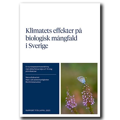 Omslag till rapport
