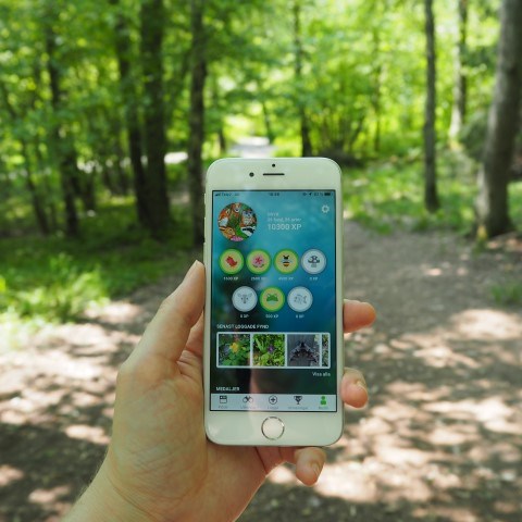 A hand is holding a smart phone with the app Biologg open, standing in a forest. 