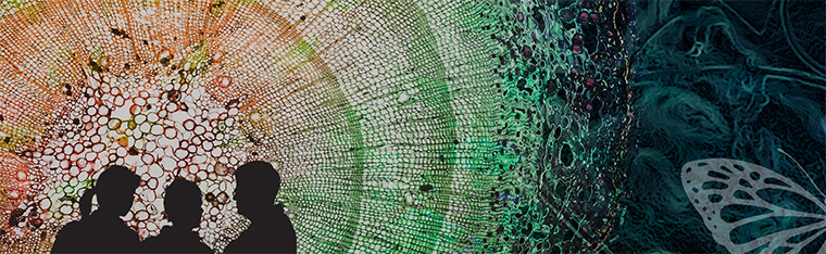 Silhouettes of three people. In the background a collage of patterns. Illustration.