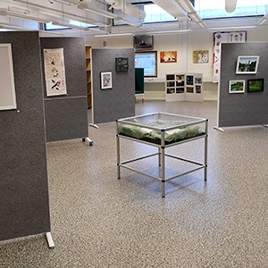 Art exhibitions. Photo.