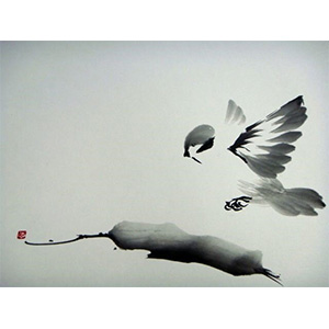 Fågel. Illustration.