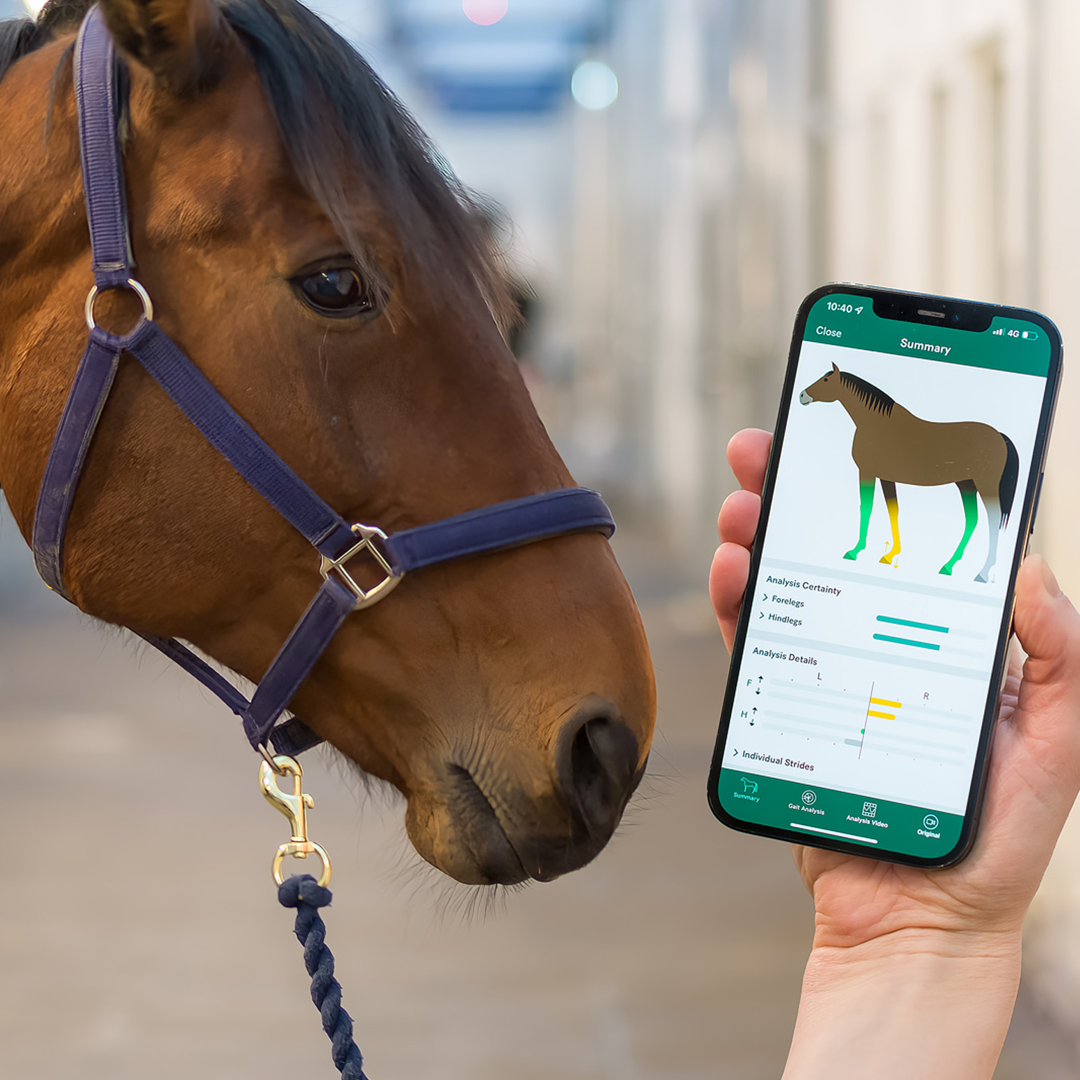 Flipday 2022. Tema VetTech