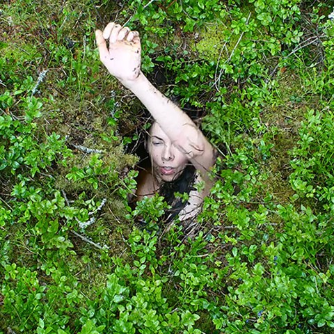 En kvinna sticker ut armen ur ett hål i marken omgivet av blåbärsris. Foto.