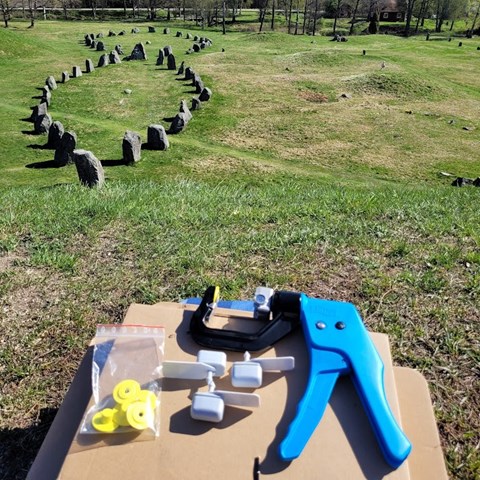 Tidigare ängsmark och betesmark kring Anundshög. Foto.