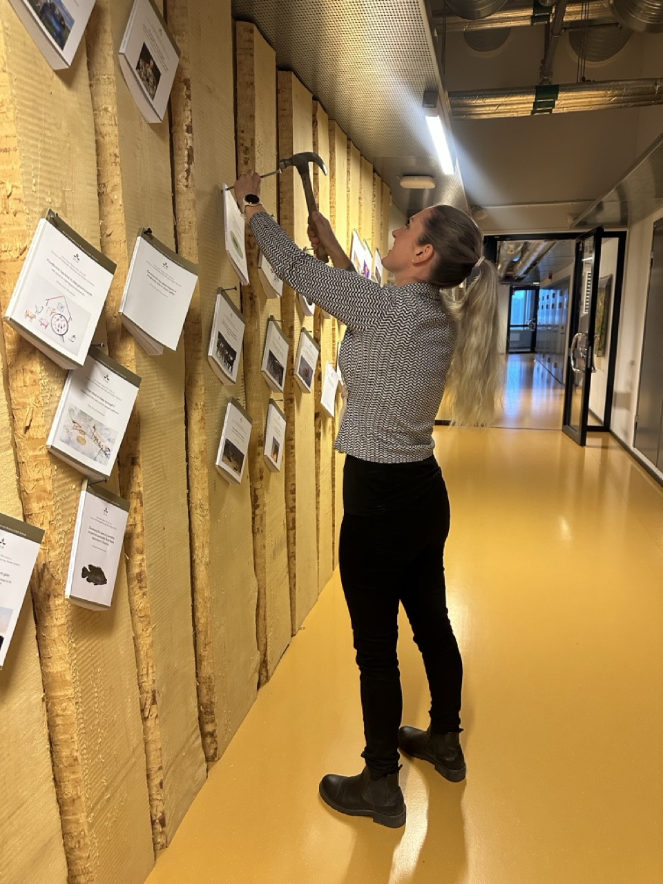 Lotten nails her thesis with a large nail.