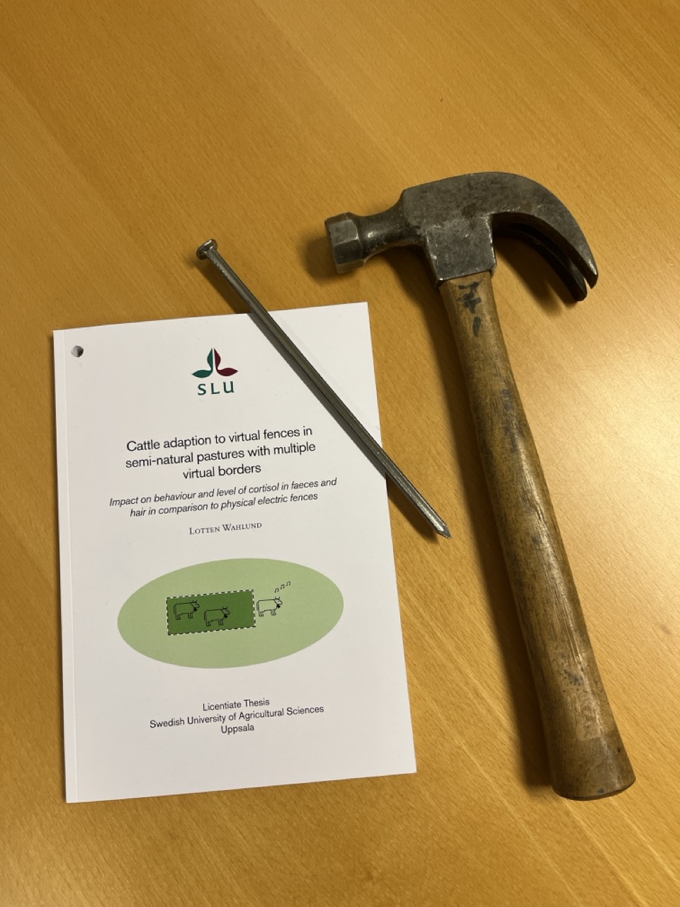 The picture shows a book, a large nail and a hammer.