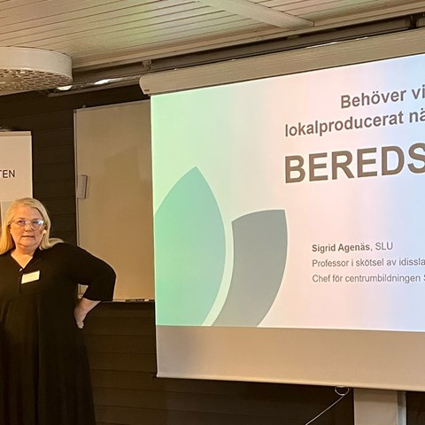 Foto av Sigrid Agenäs som föreläser framför en stor skärm.