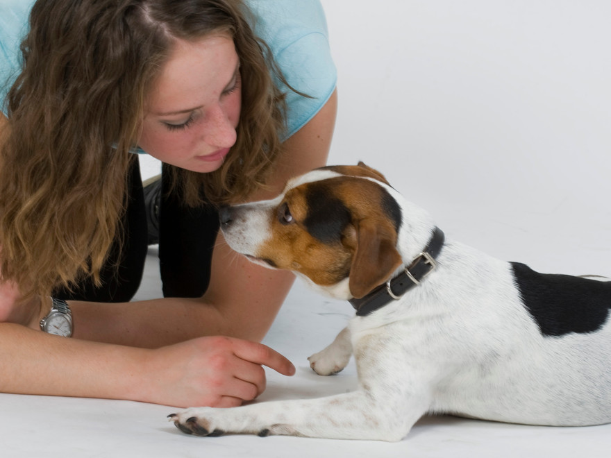 Kvinna kommunicerar med en hund