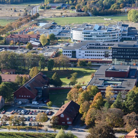 Flygbild över campus Uppsala