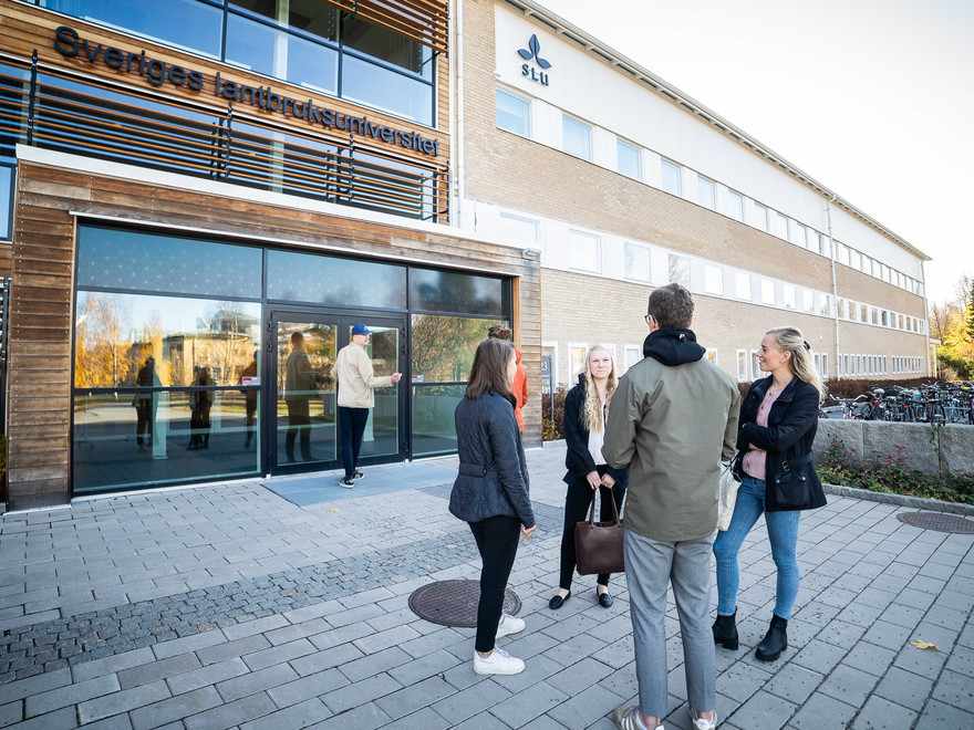 Studenter på SLU campus Umeå