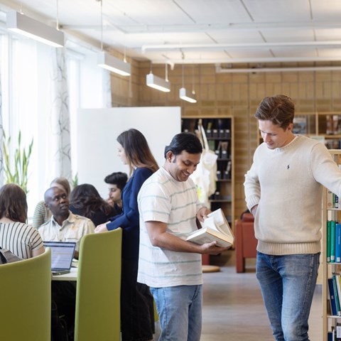 Students conversing and studying in the library