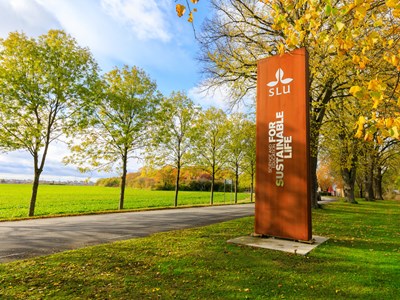 SLU-skylt i höstlandskap. 