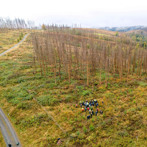 Drönarbild på exkursion½