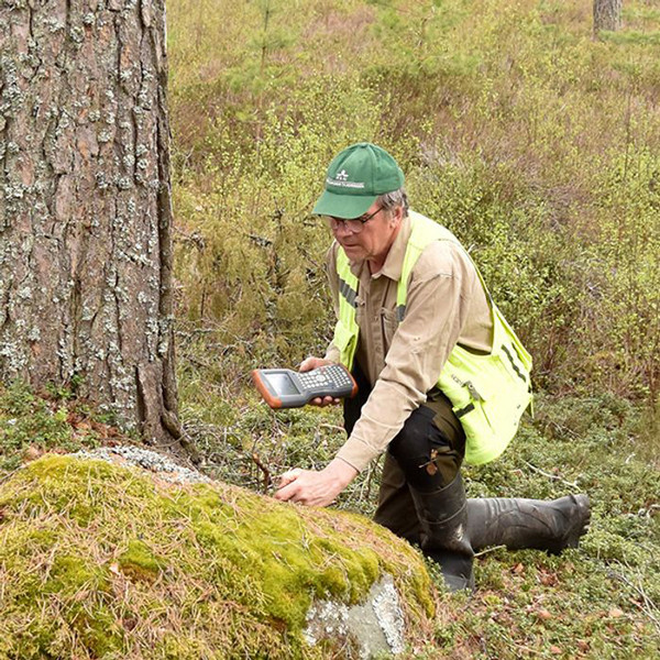 Forest inventory