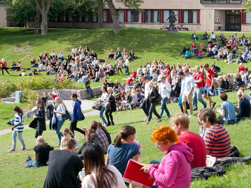 Många studenter som sitter på en grässlänt