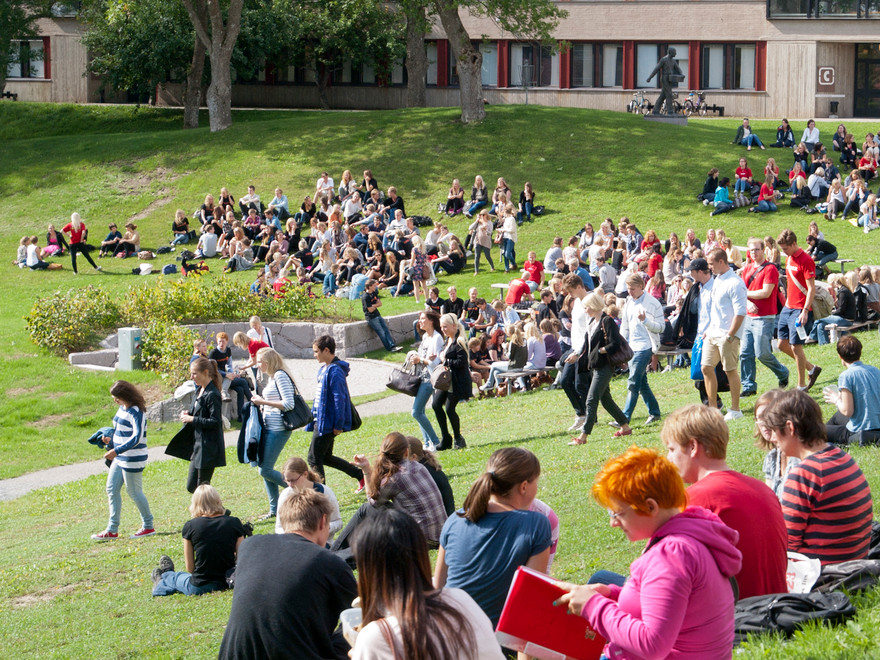 Many students sitting on a grassy slope
