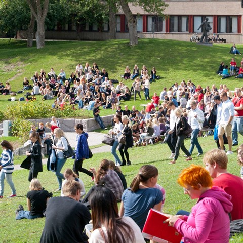 Many students sitting on a grassy slope