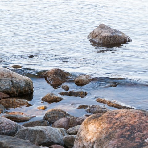 Strandkant. Foto.