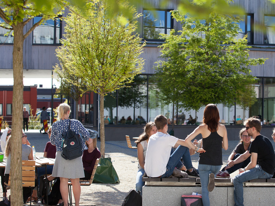 Students hanging around at  campus