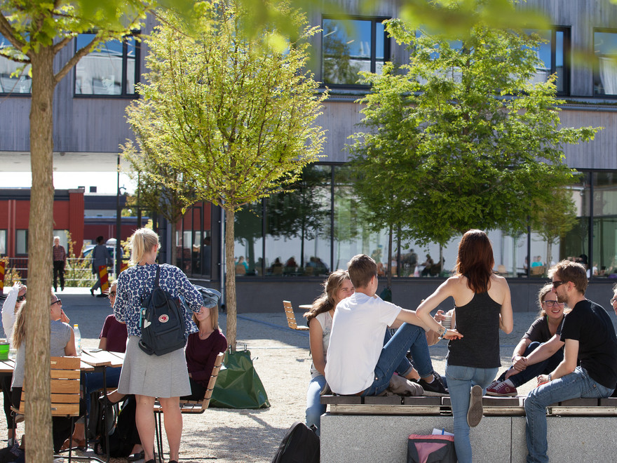 Studenter som hänger på campus