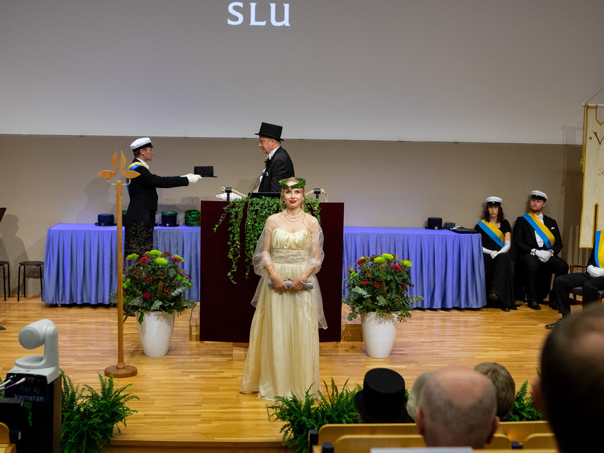 Doctoral ceremony of 2022
