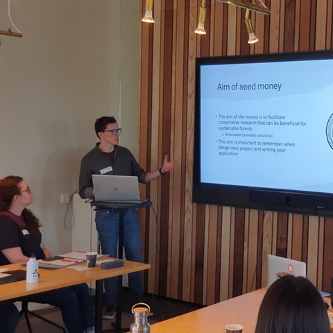 Stefan om såddmedel