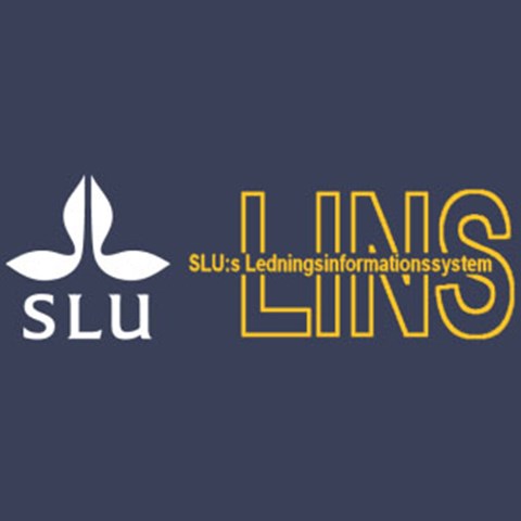 lins logo