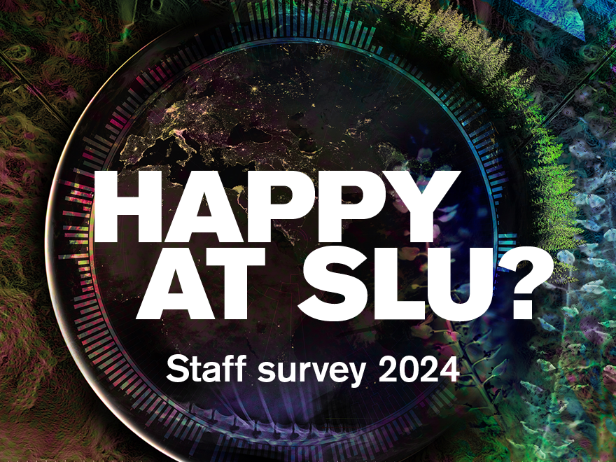 Staff Survey 2024 Medarbetarwebben   Mu 2024 Eng 880x660px 