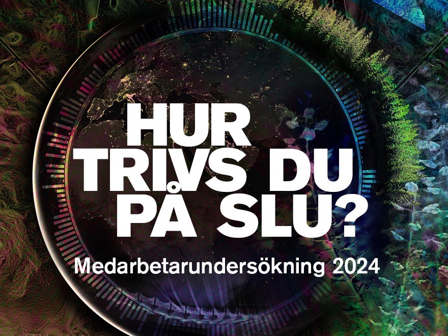 MU2024