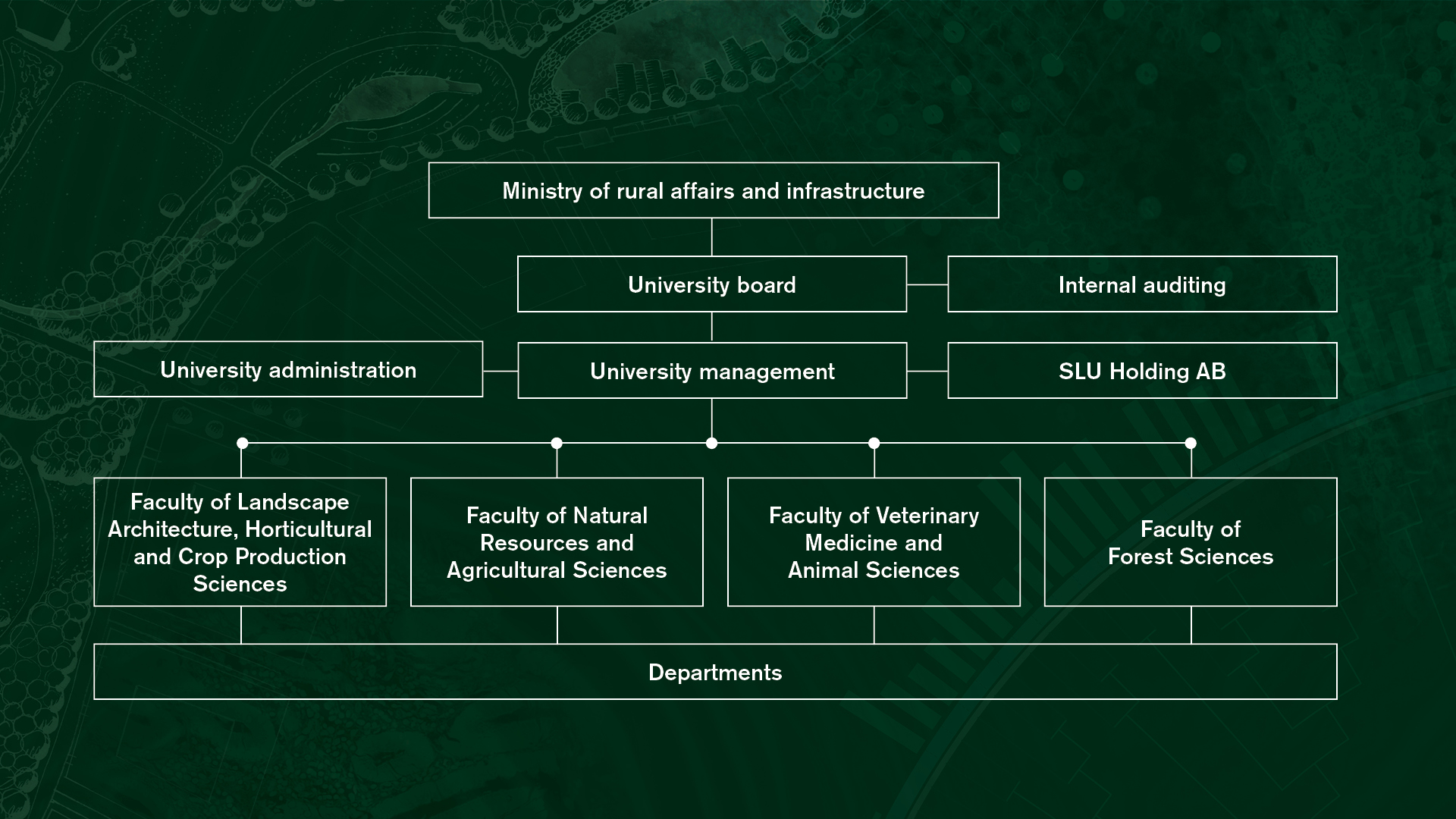 organizational chart