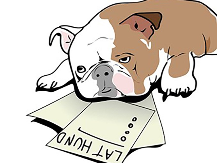 en lat hund, illustration