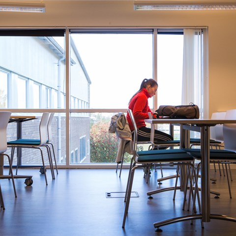 Kvinnlig student sitter och läser vid ett bord framför ett fönster. Foto.