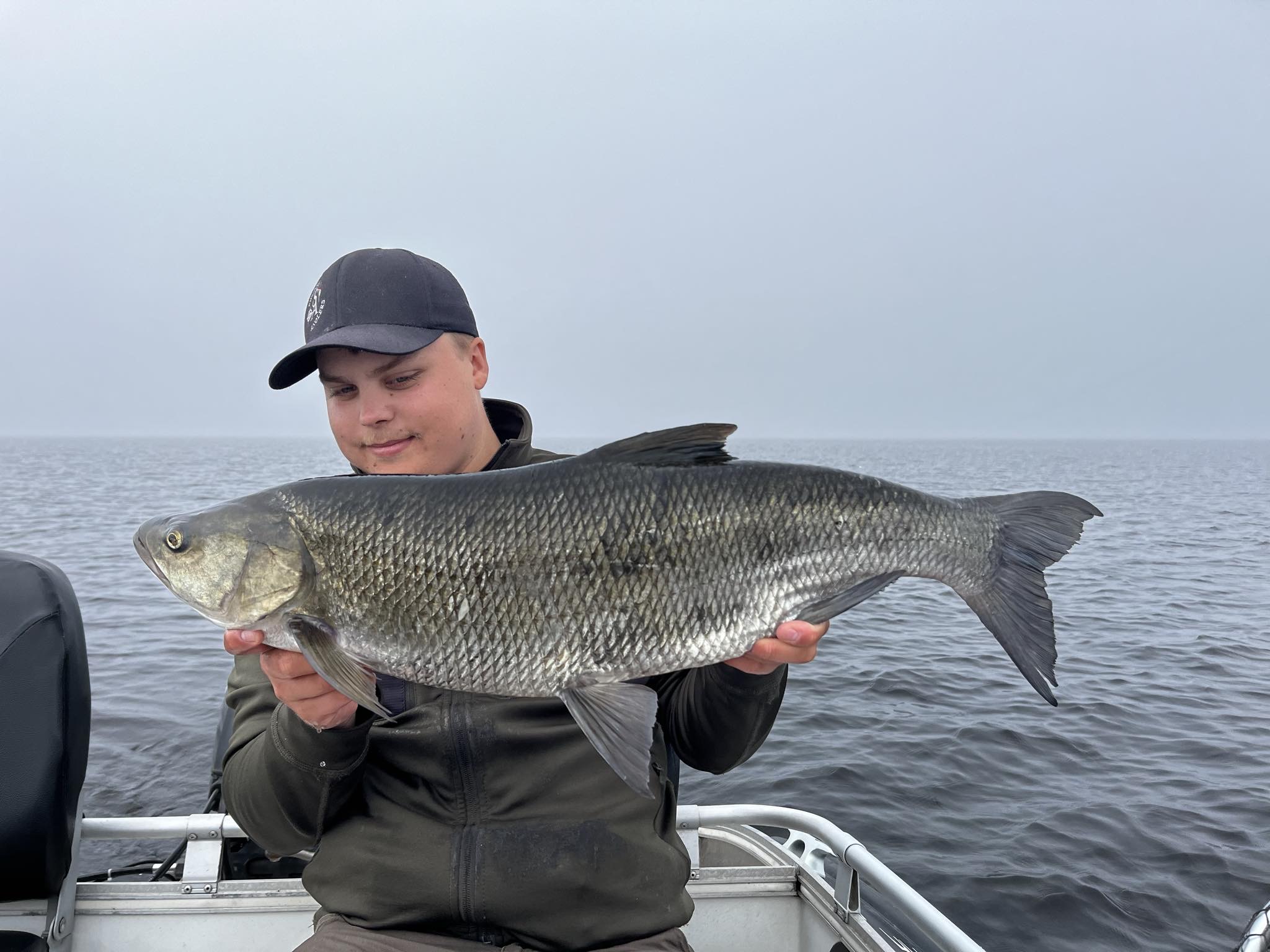 En person håller upp en stor asp (fisk)