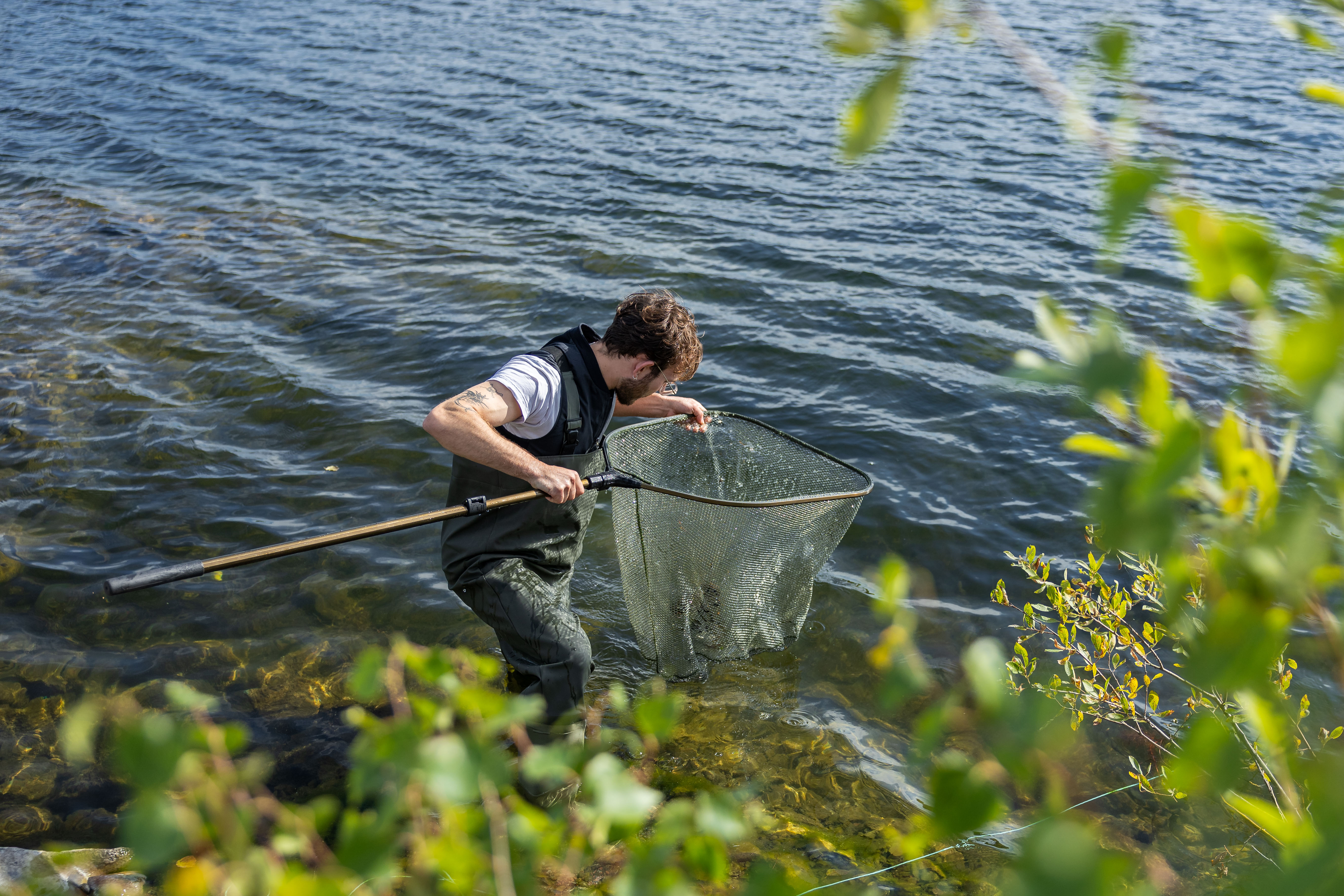 A person pulls a crayfish trap ashore.