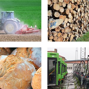 Image of subjects within which you can use LCA