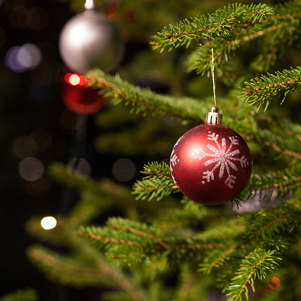 Julkulor i en gran. Foto