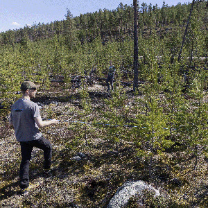 People conducting fieldwork in a forest. Photo.