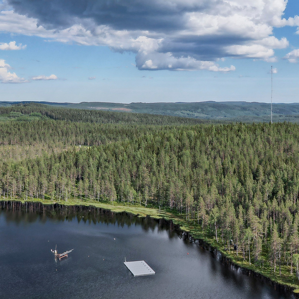 Lake with forest in the background. Photo.