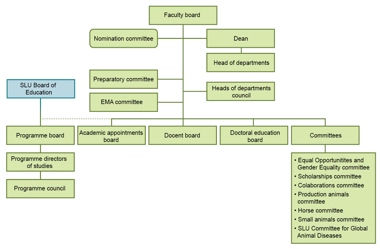 VH Faculty's organisation chart.