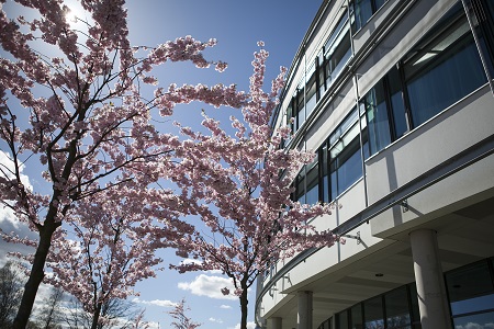 Vy över Veterinärmedicinskt och husdjursvetenskapligt centrum.