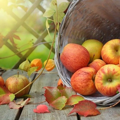 Picture of apples in a basket surrounded by autumn leafs.