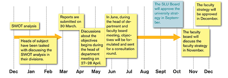 Timeline of the strategy process of the LTV faculty. Graphics.