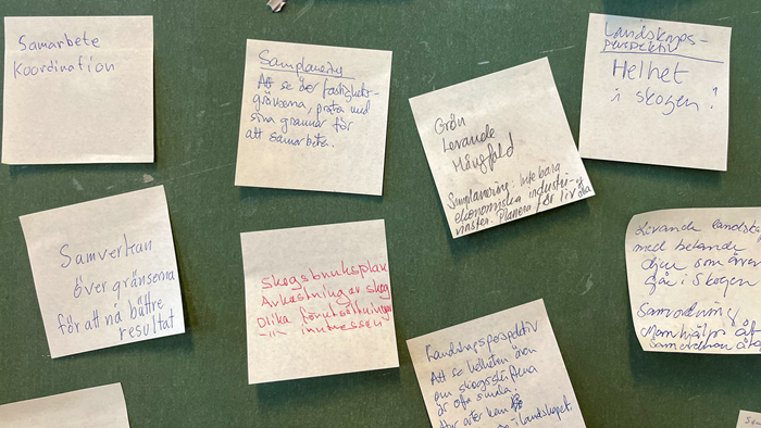 Post-its med reflektioner från deltagare.