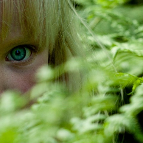 Eye in vegetation. Photo.