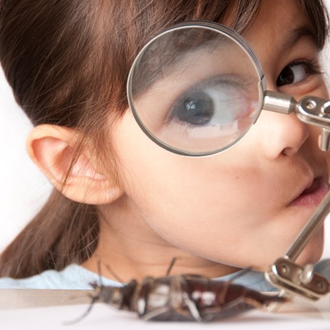 flicka som tittar genom ett förstoringsglas på en insekt