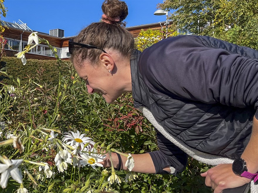 Kvinna som luktar på blommor. Foto.