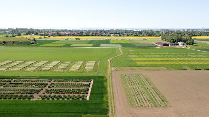 flygbild över odlingslandskap