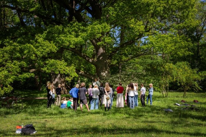 en grupp unga människor i en park