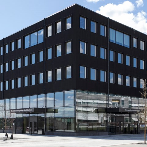 Ull utifrån 1140x606.jpg Ull utifrån 1140x606.jpg