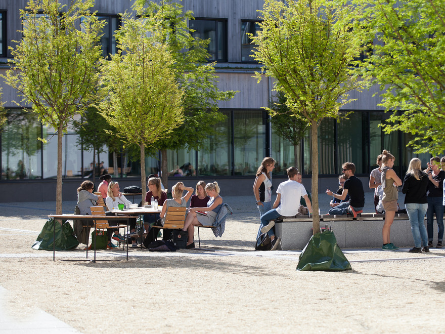 Students in the courtyard of Ulls hus